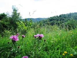 Odtud jsme pod Jelením vrchem