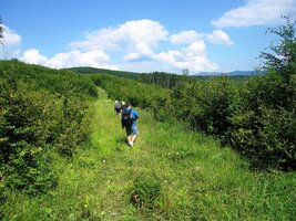 špatně značenými cestamii až sem: