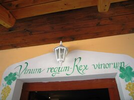 a všude jsou samé vinice a sklípky