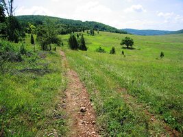 a pokračuje po loukách Silické planiny