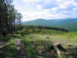 ale jakmile se lesy rozestoupily,