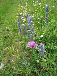 a dále Hájskou dolinou do vsi Hačava