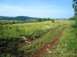 Cesta vede do vsi Silická Brezová