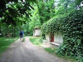 a naštěstí i jednoho z jejich majitelů,