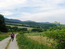 Druhý den jdeme dále do města