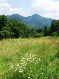 Zvedá se k sedlu Skalolam