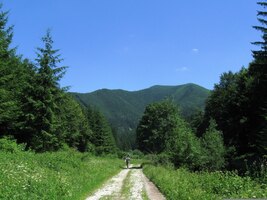 Konečně dole v Rajeckolesnianské dolině