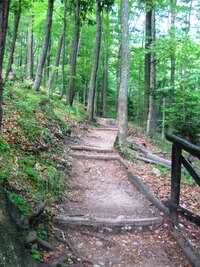 Druhý den stoupáme strmou cestou vzhůru