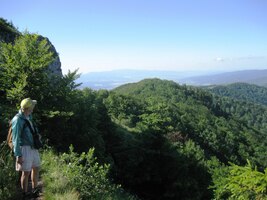 Ve vrcholové části je chvílemi dost krkolomný,