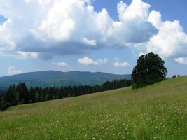 Převládaly však louky a daleké výhledy