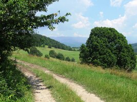 a pak už míří dolů