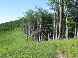 Jdeme dolů z vrchu Vyhnatová