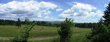 Tyto krásné louky jsme prošli vysokou travou