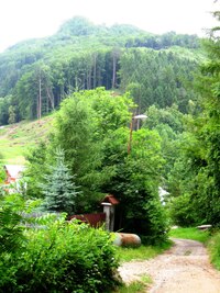 Odpoledne vyrážím sám k hradu Lietava