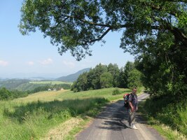 Košaté stromy zde skýtají příjemný stín