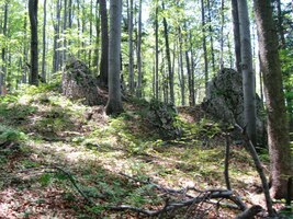 I další cesta na hřeben je krušná