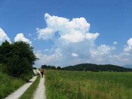Krásná je ale i polní cesta