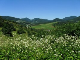 Bylo tu krásně, ale my jsme neváhali