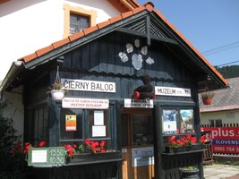 Vstup do muzea byl zdarma