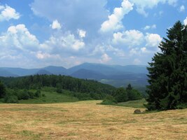 Objevují se pole a cesta se rozšiřuje