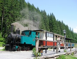 Konečná = lesní skanzen Vydrová