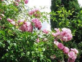 Procházeli jsme ulicemi města