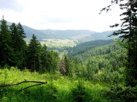 a my jsme se vydali na cestu hřebenem Malé Fatry