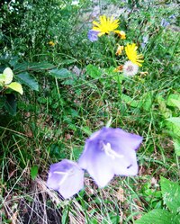 Dnes ale byla pohoda, nestříleli