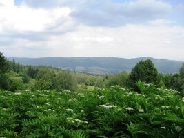 a cestami v podhůří pohoří Vtáčnik