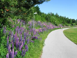 Jak libo, přidáme!