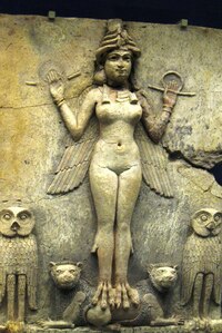 včetně erotických