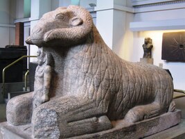 Monstrózní egyptský beran