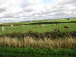 Podvečer je nádherný a vyzývá k fotografování