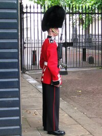 a nezbytná stráž před Buckinghamským palácem