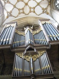 a svědčí o tom i "vzorek" klenby nad varhanami