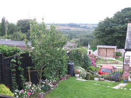 Tohle je pohled z našeho psího hotelu,