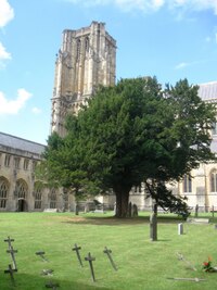 a zde na rozsáhlé prostranství rajského dvora