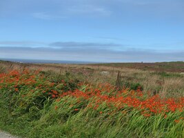 Také tady je tolik barev,