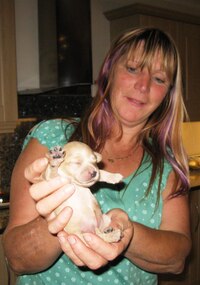 a tady majitelka a ubytovatelka Rose