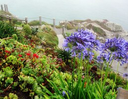 jako v přímořské botanické zahradě