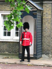 Tenhle bodyguard zase hlídá palác St:James