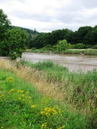 A řeka Wye teče dál