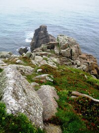 Herci se mohou během představení snadno vykoupat