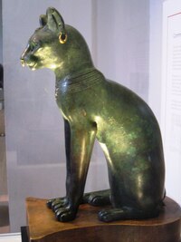 a subtilní zelená kočka