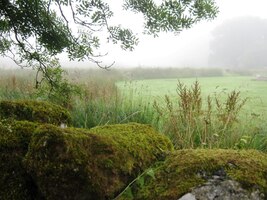 Naštěstí tady v mlze u vesničky Postbridge nebyl