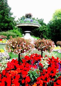 Parky zde hýří barvami květů