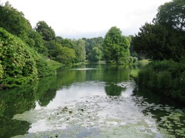 a hlavně stromy, prostě anglický park