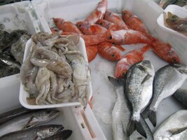 Z nedalekého Atlantiku je sem vezli jenom kousek