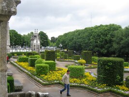 Je po dešti a vše je nacucané vodou