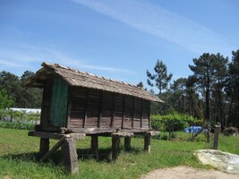 kolem typických galicijských sýpek (horeos)